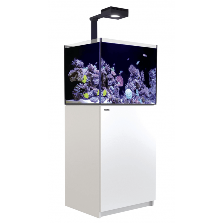 RED SEA - Reefer 200 G2 Deluxe - Blanc - 158 litres - 1 ReefLED 90 et 1 potence