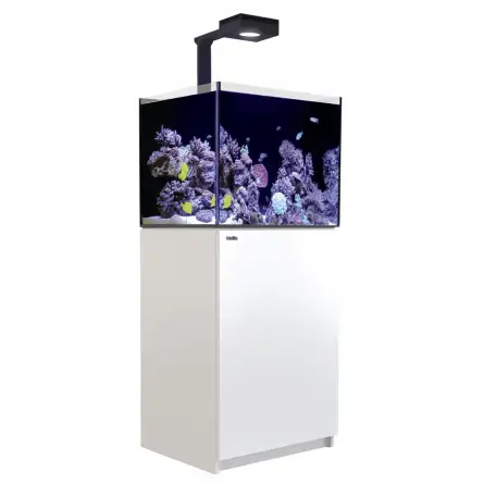 RED SEA - Reefer 200 G2 Deluxe - Weiß - 158 Liter - 1 ReefLED 90 und 1 Vorbau