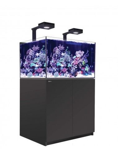RED SEA - Reefer 300 G2 Deluxe - Black - 246 liters - 2 ReefLED 90 and 2 stems