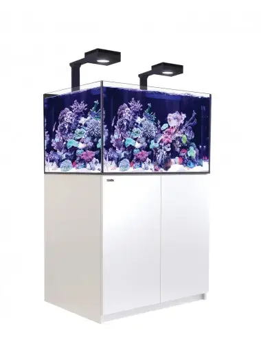 RED SEA - Reefer 300 G2+ Deluxe - Vit - 246 liter - 2 ReefLED 90 och 2 stjälkar