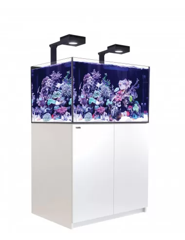 RED SEA - Reefer 300 G2 Deluxe - White - 246 liters - 2 ReefLED 90 and 2 stems