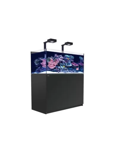 RED SEA - Reefer 425 G2 Deluxe - Nero - 343 litri - 2 ReefLED 90 e 2 gambi