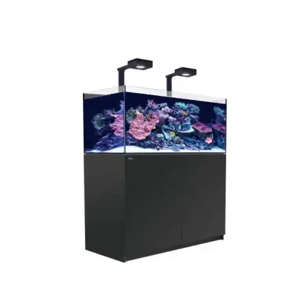 RED SEA - Reefer 425 G2 Deluxe - Negro - 343 litros - 2 ReefLED 90 y 2 potencias RED SEA - Reefer 425 G2 Deluxe - Negro - 343 litros - 2 ReefLED 90 y 2 potencias