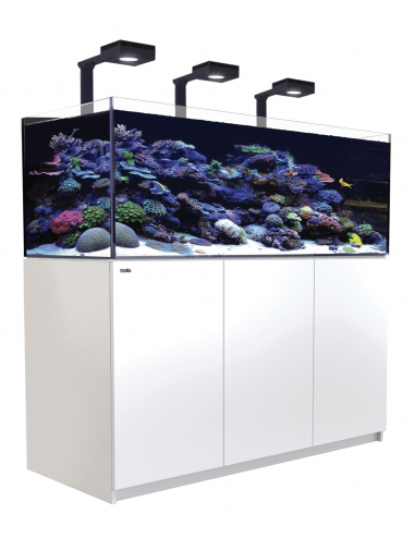 RDEČE MORJE - Reefer 525 G2 Deluxe - Bela - 423 litrov - 3 ReefLED 90 in 3 stebla