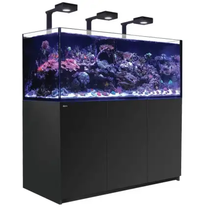RED SEA - Reefer 625 G2 Deluxe - Zwart - 497 liter - 3 ReefLED 90 en 3 stuurpennen RED SEA - Reefer 625 G2 Deluxe - Zwart - 497 liter - 3 ReefLED 90 en 3 stuurpennen