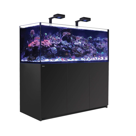RDEČE MORJE - Reefer 625 G2 Deluxe - Črna - 497 litrov - 2 ReefLED 160S in 2 stebla RDEČE MORJE - Reefer 625 G2 Deluxe - Črna - 497 litrov - 2 ReefLED 160S in 2 stebla