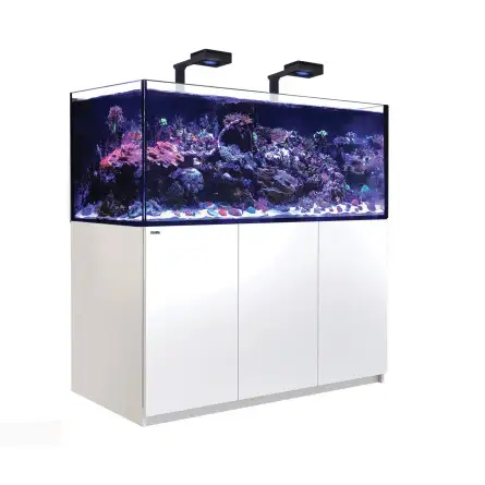 RDEČE MORJE - Reefer 625 G2 Deluxe - Črna - 497 litrov - 2 ReefLED 160S in 2 stebla RDEČE MORJE - Reefer 625 G2 Deluxe - Črna - 497 litrov - 2 ReefLED 160S in 2 stebla