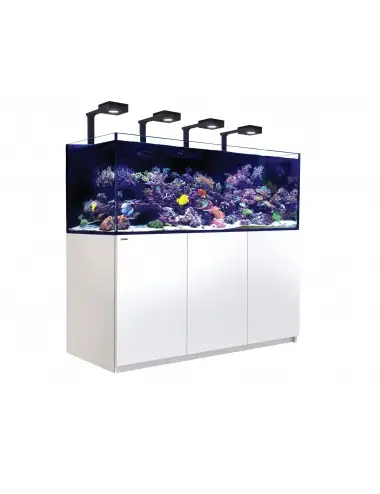 RED SEA - Reefer 750 G2 Deluxe - Weiß - 600 Liter - 4 ReefLED 90 und 4 Vorbauten
