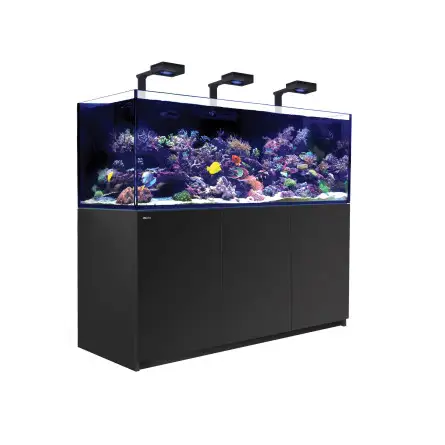 RDEČE MORJE - Reefer 750 G2 Deluxe - Črna - 600 litrov - 3 ReefLED 160S in 3 stebla RDEČE MORJE - Reefer 750 G2 Deluxe - Črna - 600 litrov - 3 ReefLED 160S in 3 stebla