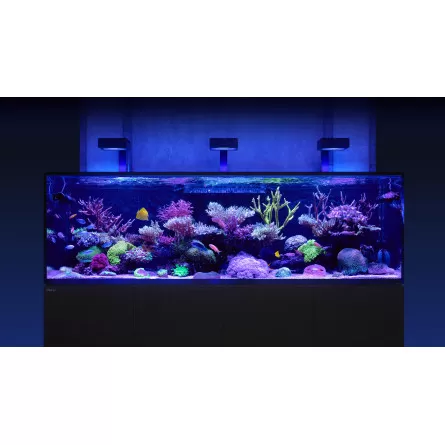 RED SEA - Reefer-S 850 G2 Deluxe - Preto - 680 litros - 3 ReefLED 160S e 3 hastes