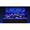 RED SEA - Reefer-S 850 G2 Deluxe - Noir - 680 litres - 3 ReefLED 160S et 3 potences