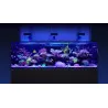 RED SEA - Reefer-S 850 G2 Deluxe - Blanc - 680 litres - 3 ReefLED 160S et 3 potences