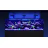 RED SEA - Reefer-S 850 G2 Deluxe - Weiß - 680 Liter - 3 ReefLED 160S und 3 Ausleger