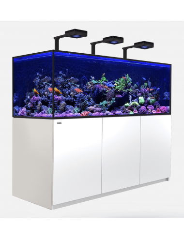 RDEČE MORJE - Reefer-S 850 G2 Deluxe - Bela - 680 litrov - 3 ReefLED 160S in 3 kraki