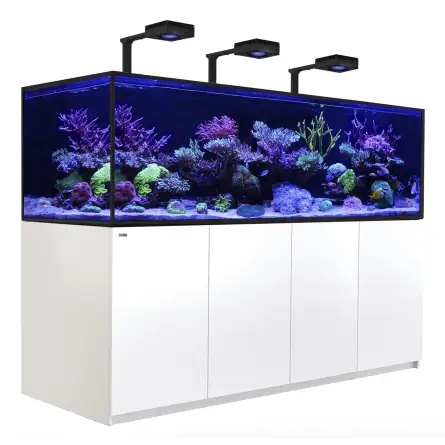 RDEČE MORJE - Reefer-S 1000 G2 Deluxe - Bela - 795 litrov - 3 ReefLED 160S in 3 stebla RDEČE MORJE - Reefer-S 1000 G2 Deluxe - Bela - 795 litrov - 3 ReefLED 160S in 3 stebla