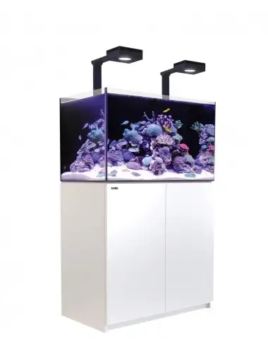 RED SEA - Reefer 250 G2+ Deluxe - Vit - 203 liter - 2 ReefLED 90 och 2 stjälkar