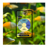 SEACHEM - One year combo alert - Ammonia et pH alert - Tests ammoniac et pH