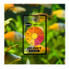 SEACHEM - One year combo alert - Ammonia et pH alert - Tests ammoniac et pH