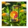 SEACHEM - One year combo alert - Ammonia et pH alert - Tests ammoniac et pH