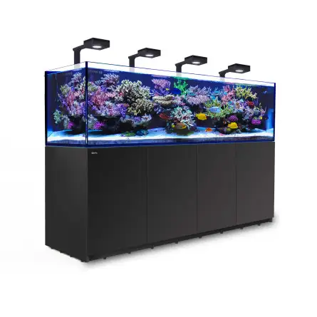 RED SEA - Reefer 900 G2 Deluxe - Nero - 720 litri - 4 ReefLED 90 e 4 steli RED SEA - Reefer 900 G2 Deluxe - Nero - 720 litri - 4 ReefLED 90 e 4 steli