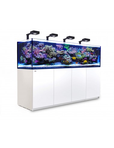 RED SEA - Reefer 900 G2 Deluxe - Blanco - 720 litros - 4 ReefLED 90 y 4 tallos