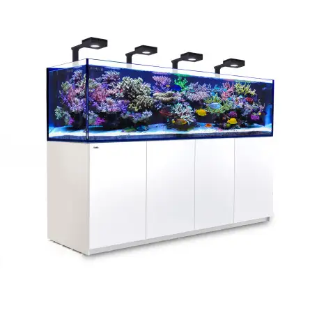 RED SEA - Reefer 900 G2 Deluxe - Bianco - 720 litri - 4 ReefLED 90 e 4 steli RED SEA - Reefer 900 G2 Deluxe - Bianco - 720 litri - 4 ReefLED 90 e 4 steli