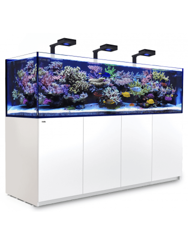 RED SEA - Reefer 900 G2 Deluxe - Black - 720 liters - 3 ReefLED 160S and 3 stems