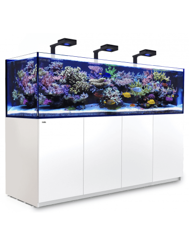 RED SEA - Reefer 900 G2 Deluxe - Zwart - 720 liter - 3 ReefLED 160S en 3 stuurpennen
