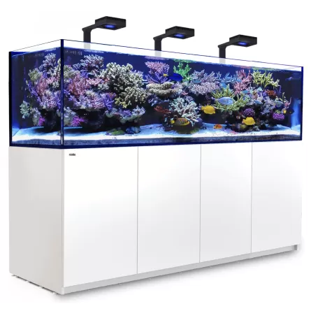 RED SEA - Reefer 900 G2 Deluxe - Preto - 720 litros - 3 ReefLED 160S e 3 hastes