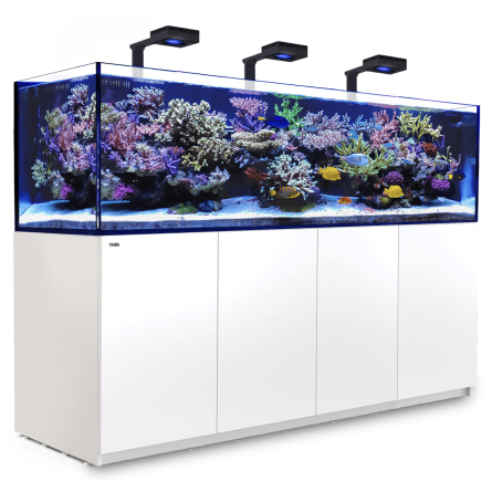 RED SEA - Reefer 900 G2 Deluxe - Black - 720 liters - 3 ReefLED 160S and 3 stems