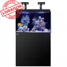 RED SEA - Aquarium Max® E-260 + LED 2x AI Hydra 26™ HD - Cabinet Black + Decanting - 260 liters