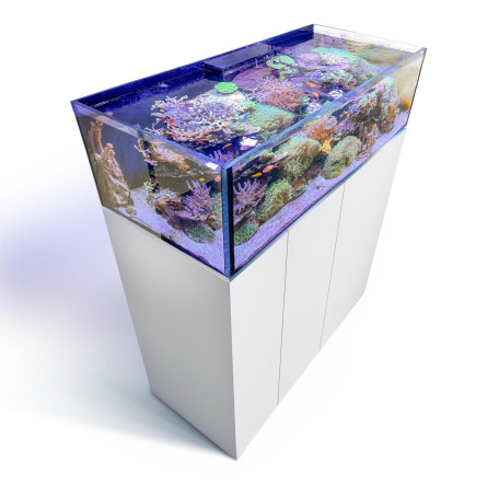 AQUA MEDIC - Armatus Lagoon 400 - Blanc - Aquarium corallien sans cadre