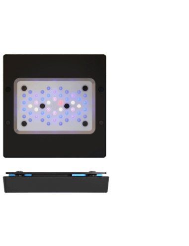 ECOTECH MARINE - Radion XR15 G6 Azul - 95 W - Rampa LED