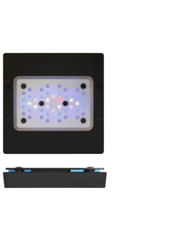 ECOTECH MARINE - Radion XR15 G6 Bleu - 95 W - Rampe LED