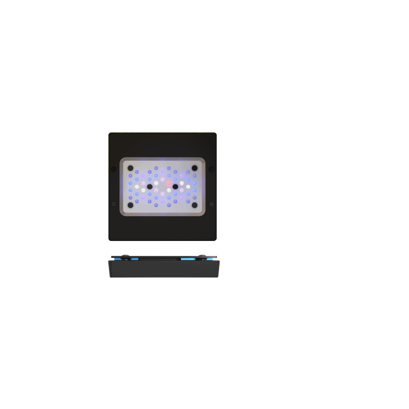 ECOTECH MARINE - Radion XR15 G6 Blue - 95 W - LED ramp