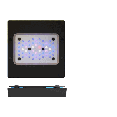 ECOTECH MARINE - Radion XR15 G6 Blauw - 95 W - LED-oprijplaat ECOTECH MARINE - Radion XR15 G6 Blauw - 95 W - LED-oprijplaat