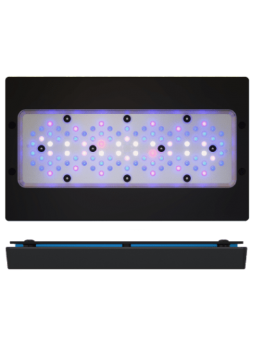 ECOTECH MARINE - Radion XR30 G6 Blau - 215 W - LED-Rampe