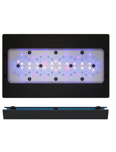 ECOTECH MARINE - Radion XR30 G6 Blauw - 215 W - LED-ramp