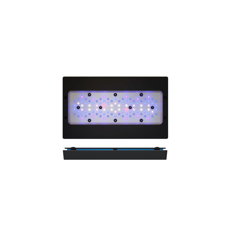 ECOTECH MARINE - Radion XR30 G6 Blu - 215 W - Rampa LED