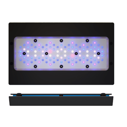 ECOTECH MARINE - Radion XR30 G6 Blau - 215 W - LED-Rampe ECOTECH MARINE - Radion XR30 G6 Blau - 215 W - LED-Rampe