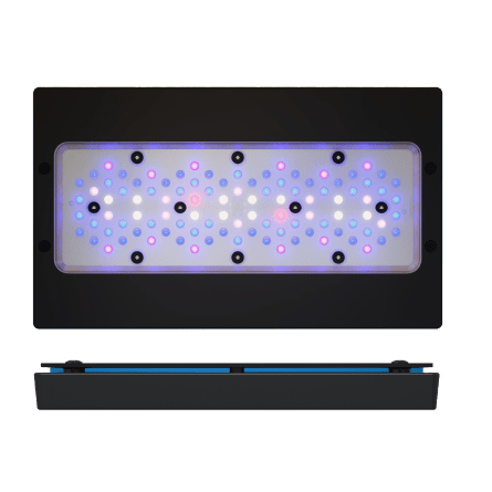 ECOTECH MARINE - Radion XR30 G6 Bleu - 215 W - Rampe LED