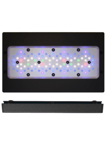 ECOTECH MARINE - Radion XR30 G6 - Pro - 215 W - LED rampa