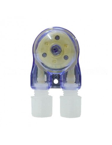 D&D H2Ocean - Plava glava...