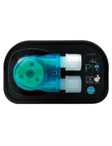 D&D H2Ocean - Bomba...