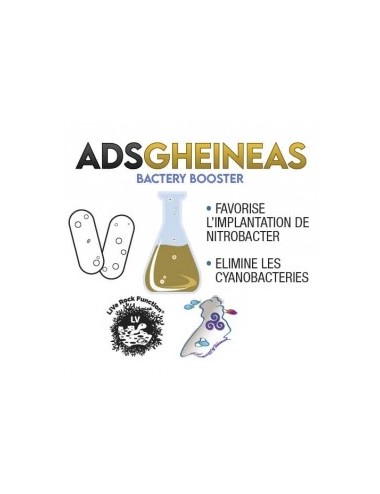 ADS - Gheineas - 50 ml -...