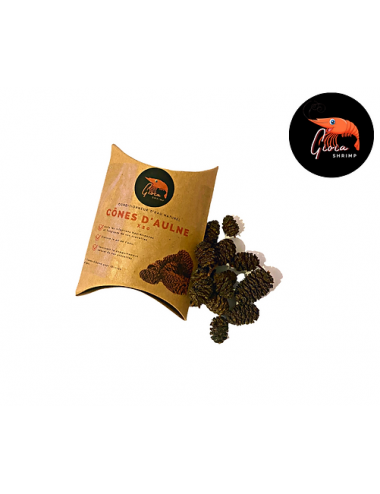 Gioia Shrimp - Alder Cones - x20 - Natural Water Conditioner