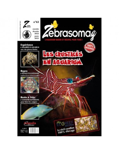 ANIMALIA EDITIONS - ZebrasO'mag N°63