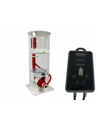 ROYAL EXCLUSIV - Mini...