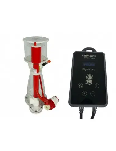 ROYAL EXCLUSIV - Bubble...