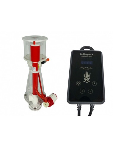 ROYAL EXCLUSIV - Bubble...